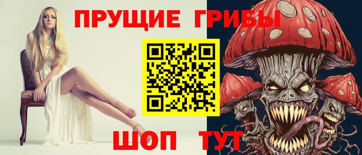 Галлюциногенные грибы GOLDEN TEACHER  Вход с VPN  Новотроицк 